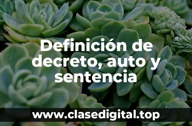 Definición de decreto, auto y sentencia