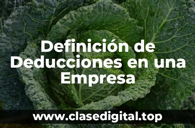 Definición de Deducciones en una Empresa