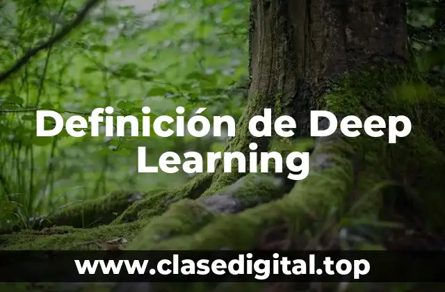 Definición de Deep Learning