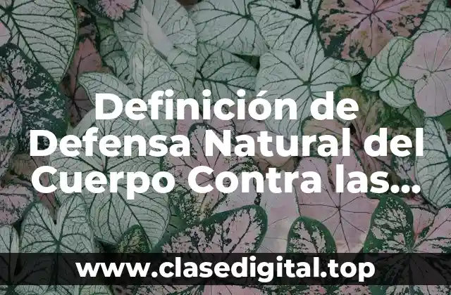 Definición de Defensa Natural del Cuerpo Contra las Infecciones