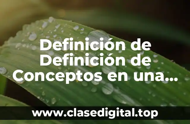 Definición de Definición de Conceptos en una Investigación