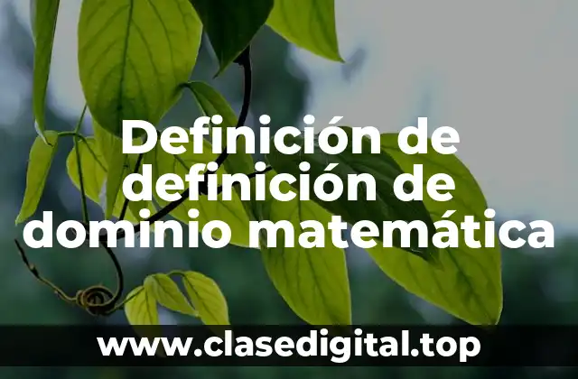 Definición de definición de dominio matemática