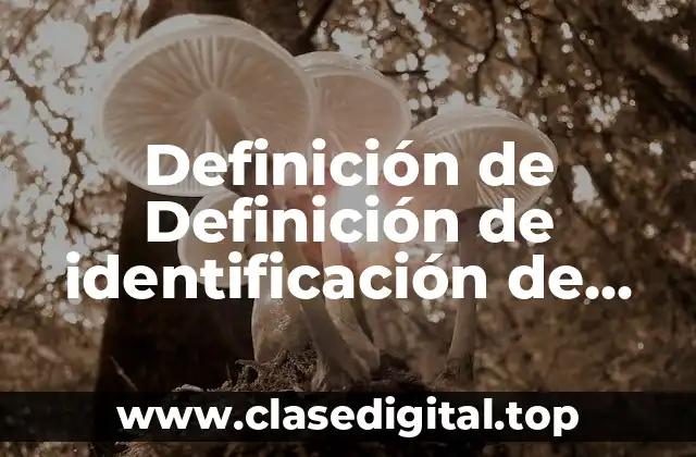 Definición de Definición de identificación de enfoques de control de