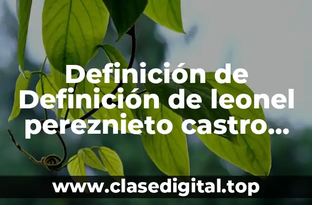 Definición de Definición de leonel pereznieto castro sobre el derecho