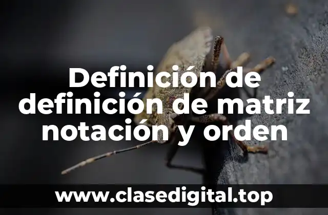 Definición de definición de matriz notación y orden