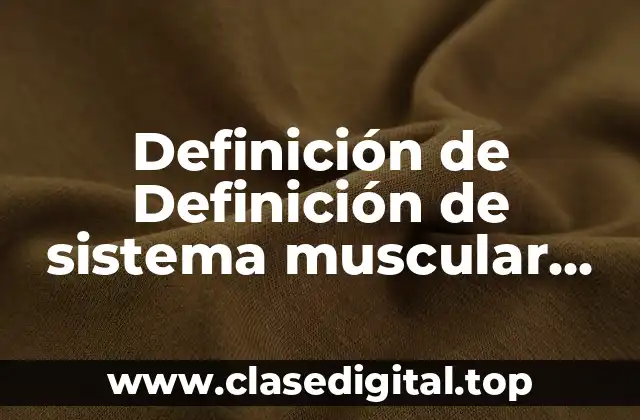 Definición de Definición de sistema muscular para niños de primaria