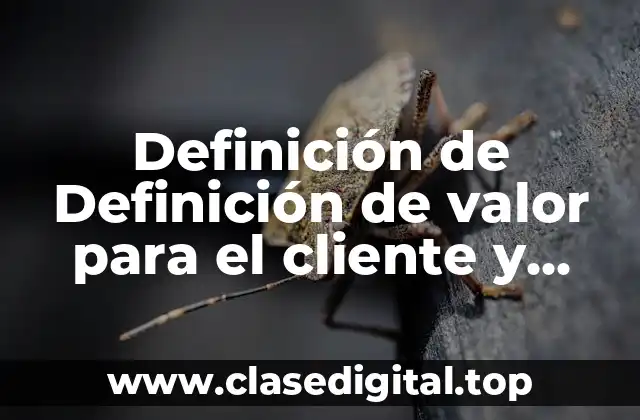 Definición de Definición de valor para el cliente y satisfacción