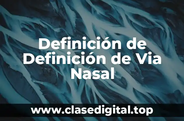 Definición de Definición de Via Nasal