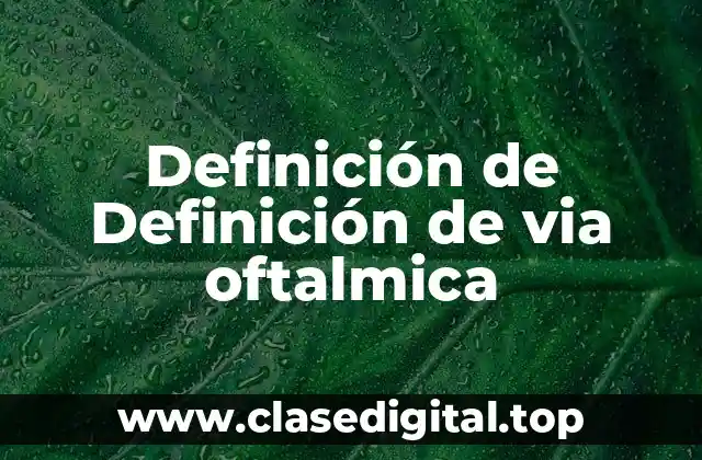 Definición técnica de via oftalmica