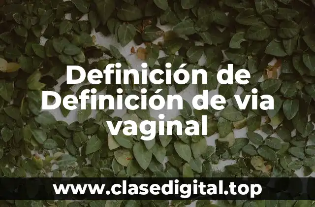 Definición de Definición de via vaginal