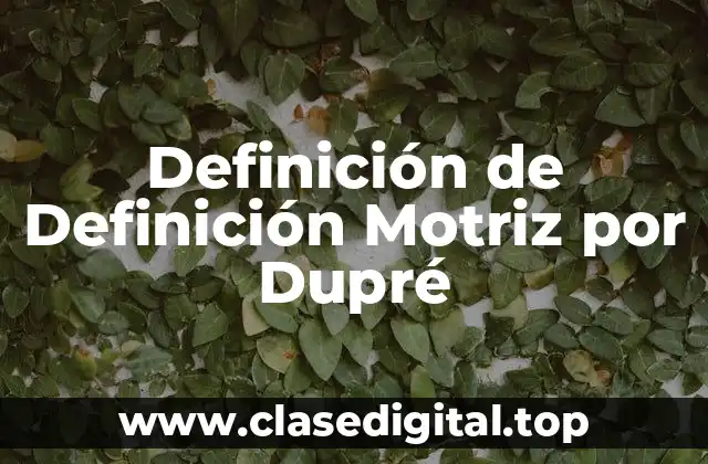 Definición de Definición Motriz por Dupré