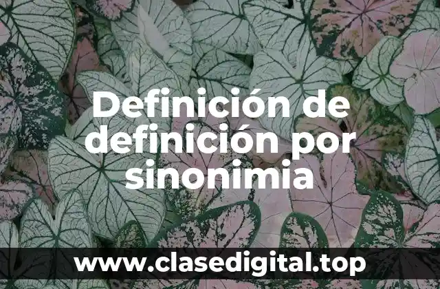 Definición de definición por sinonimia