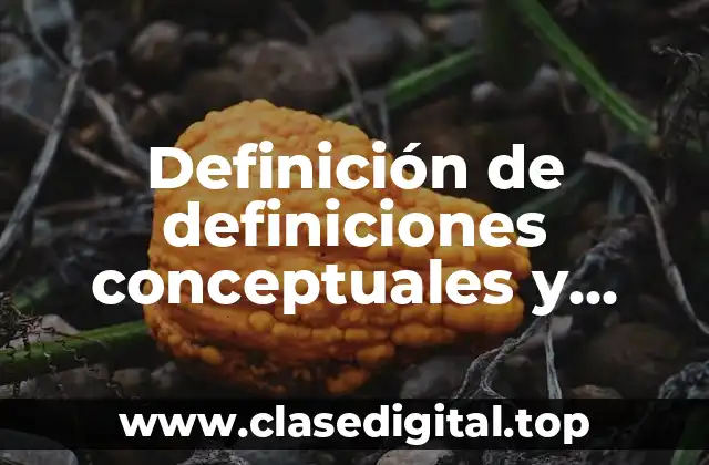 Definición de definiciones conceptuales y operacionales