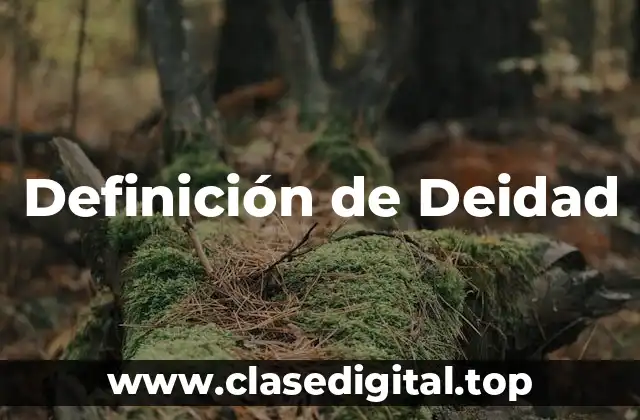 Definición de Deidad