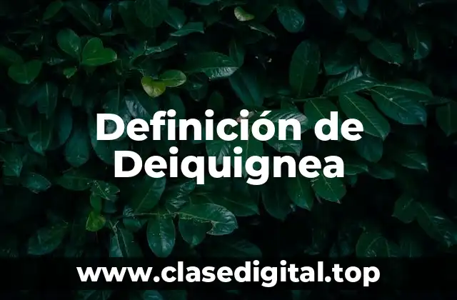 Definición de Deiquignea
