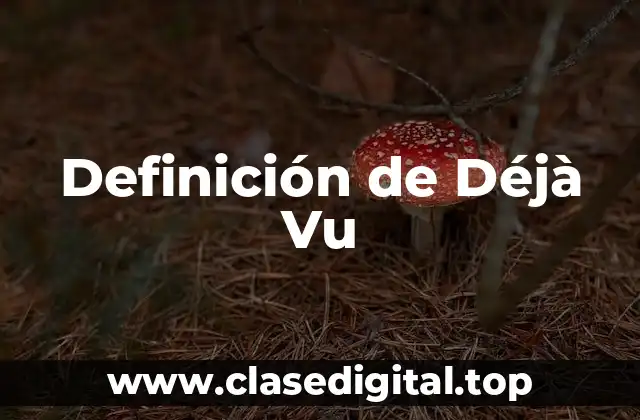 Definición de Déjà Vu