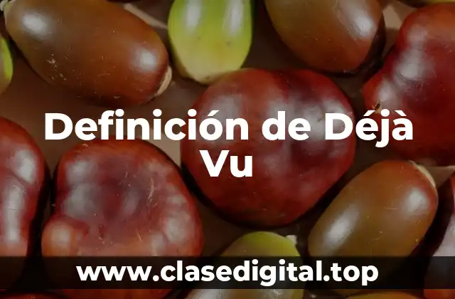 Definición técnica de Déjà Vu