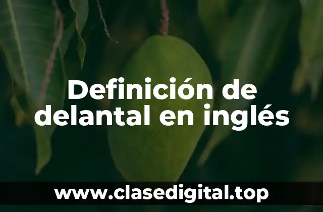 Definición de delantal en inglés