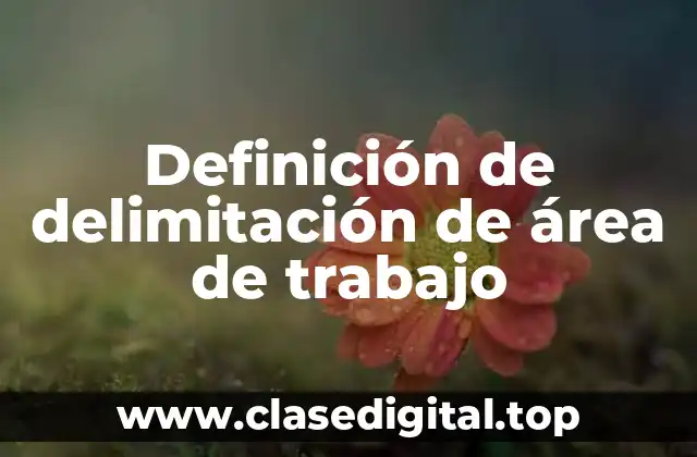 Definición técnica de delimitación de área de trabajo