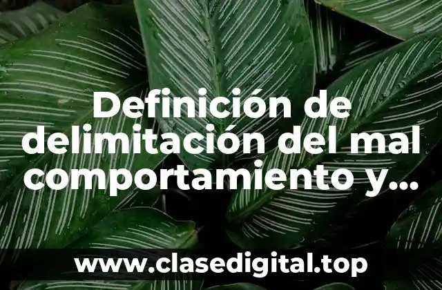 Definición de delimitación del mal comportamiento y vocabulario respetuoso