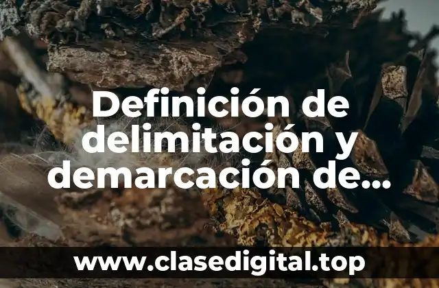 Definición de delimitación y demarcación de áreas en planta industrial