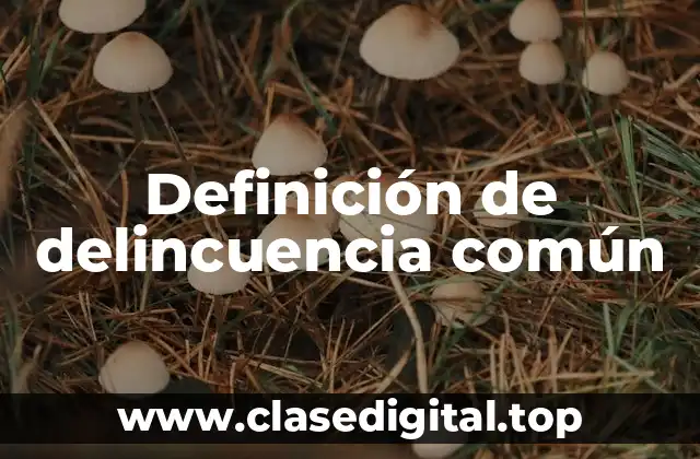 Definición técnica de delincuencia común