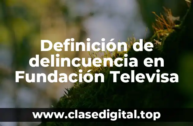 Definición de delincuencia en Fundación Televisa
