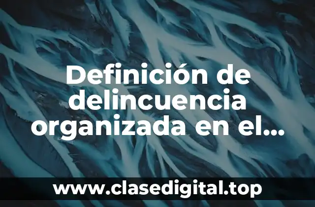 Definición de delincuencia organizada en el ámbito nacional