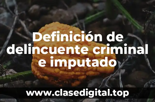 Definición de delincuente criminal e imputado