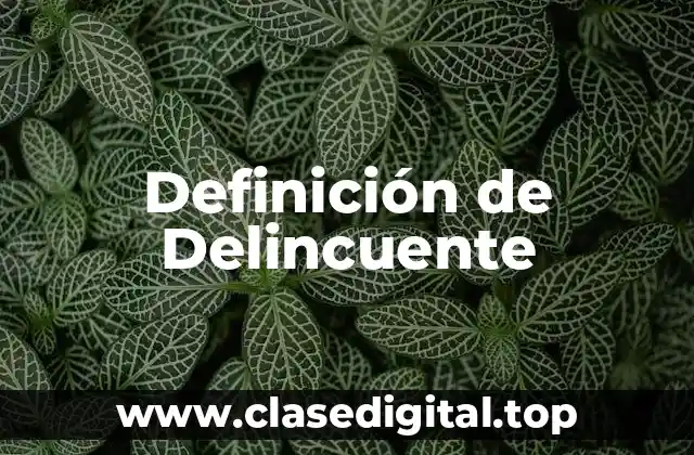Definición técnica de delincuente