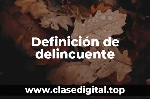 Definición de delincuente