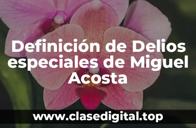 Definición de Delios especiales de Miguel Acosta