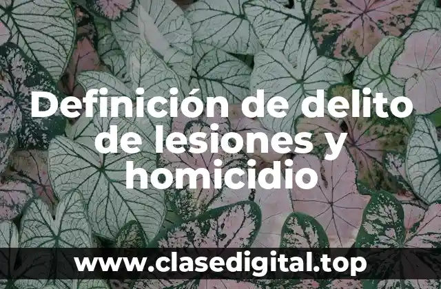 Definición de delito de lesiones y homicidio