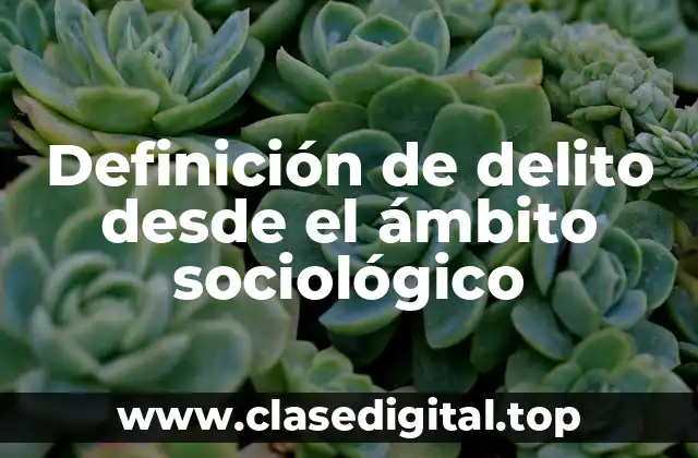 Definición de delito desde el ámbito sociológico