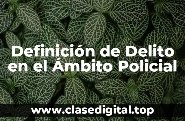 Definición de Delito en el Ámbito Policial
