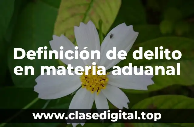 Definición de delito en materia aduanal