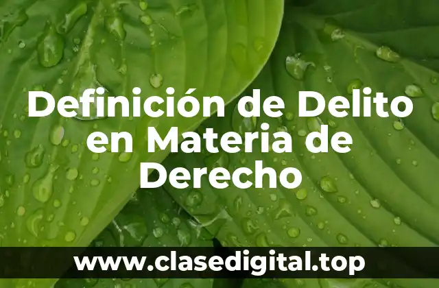 Definición de Delito en Materia de Derecho