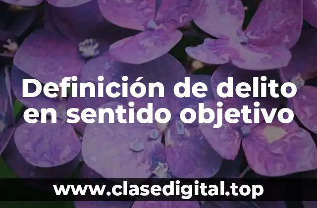 Definición de delito en sentido objetivo