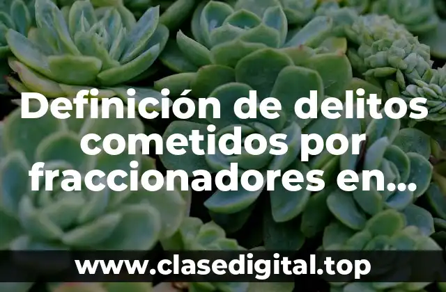 Definición de delitos cometidos por fraccionadores en Tlaxcala