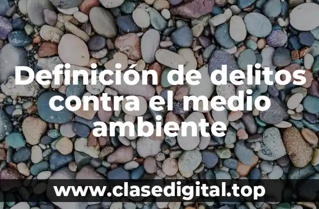 Definición de delitos contra el medio ambiente