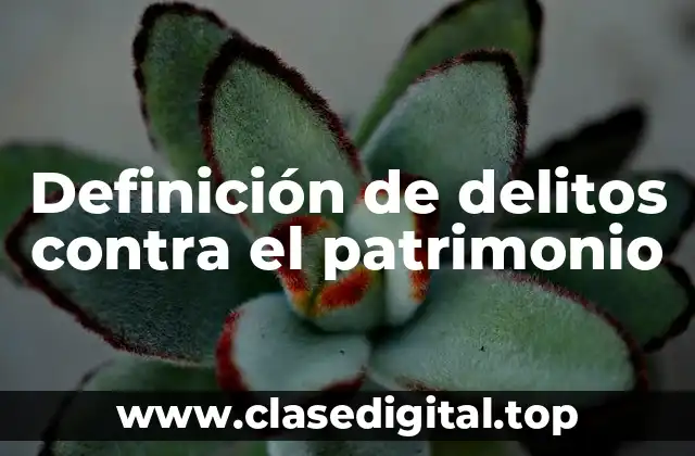 Definición de delitos contra el patrimonio