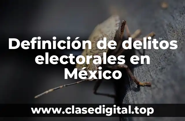 Definición de delitos electorales en México