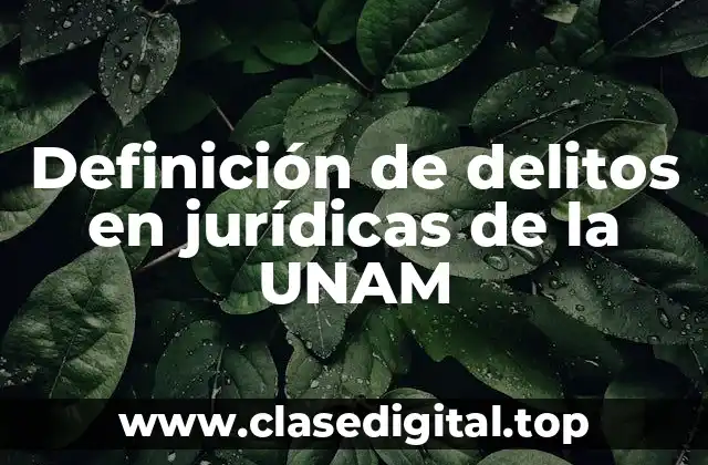 Definición de delitos en jurídicas de la UNAM