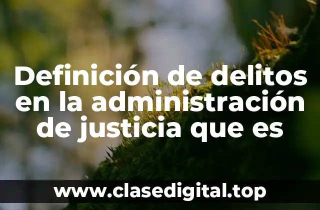 Ejemplos de delitos en la administración de justicia