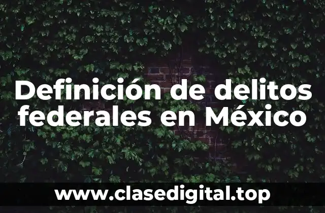 Ejemplos de delitos federales en México