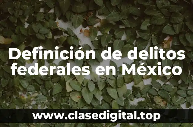 Definición técnica de delitos federales en México