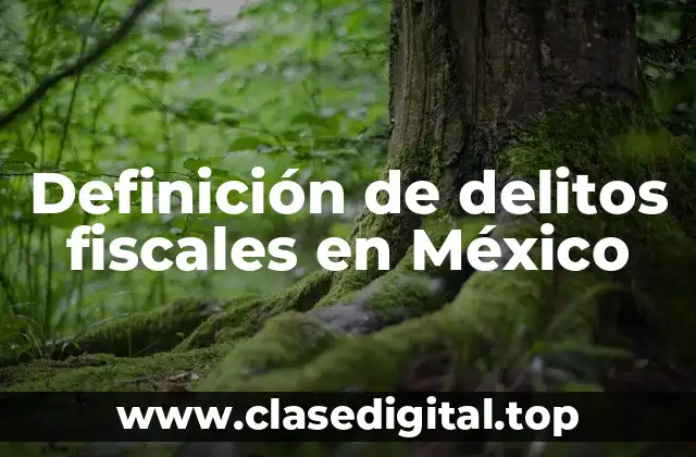 Definición de delitos fiscales en México
