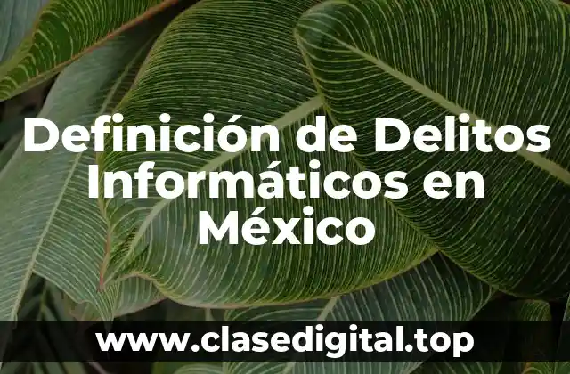Definición de Delitos Informáticos en México