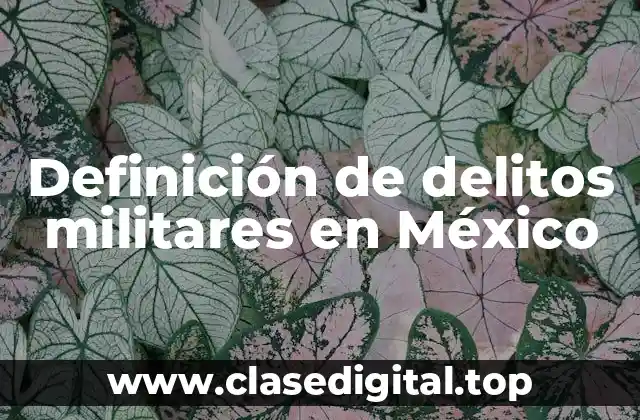 Definición de delitos militares en México