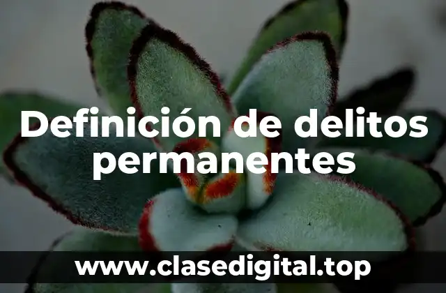 Definición de delitos permanentes